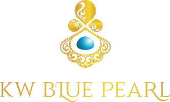 Bluepearl page load logo